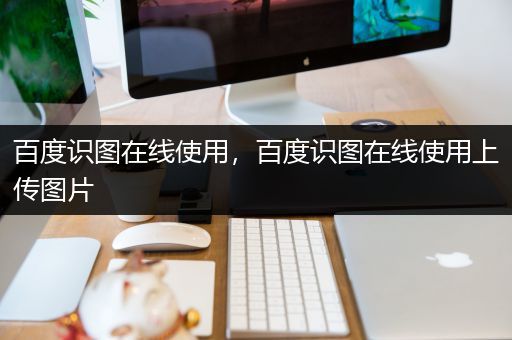 百度识图在线使用，百度识图在线使用上传图片